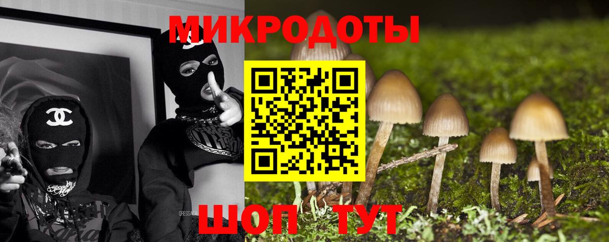 Псилоцибиновые грибы Psilocybine cubensis Екатеринбург